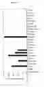 Fig. 05 - Interleukin-22 polypeptides, nucleic acids encoding the same and methods for the treatment of pancreatic disorders
