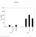 Fig. 09 - Interleukin-22 polypeptides, nucleic acids encoding the same and methods for the treatment of pancreatic disorders
