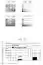 Fig. 12 - Methods and compounds for disruption of CD40R/CD40L signaling in the treatment of Alzheimer's disease