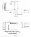 Fig. 06 - Method for assembling a polymer-biologic delivery composition