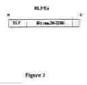 Fig. 04 - Innate immune system-directed vaccines