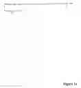 Fig. 17 - Innate immune system-directed vaccines