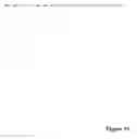 Fig. 20 - Innate immune system-directed vaccines