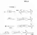 Fig. 07 - Stabilized virus-like particles and epitope display systems