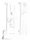 Fig. 02 - Hepatitis-C virus type 4, 5 and 6