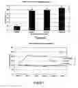 Fig. 03 - Composition and method to augment and sustain neurotransmitter production