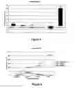 Fig. 04 - Composition and method to augment and sustain neurotransmitter production