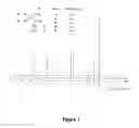 Fig. 08 - Hydroxyamate-containing materials for the inhibition of matrix metalloproteinases