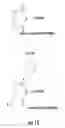 Fig. 15 - Delivery system for diagnostic and therapeutic agents
