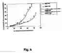 Fig. 05 - Prolonged release bioadhesive therapeutic systems