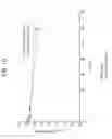 Fig. 10 - Methods of making bioabsorbable drug delivery devices comprised of solvent cast films