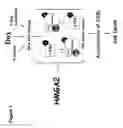 Fig. 02 - Methods for increasing cancer cell chemosensitivity