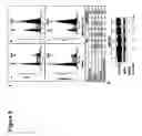 Fig. 04 - Methods for increasing cancer cell chemosensitivity