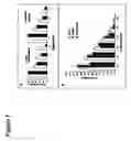 Fig. 08 - Methods for increasing cancer cell chemosensitivity