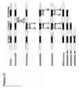 Fig. 14 - Methods for increasing cancer cell chemosensitivity
