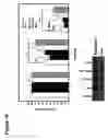 Fig. 20 - Methods for increasing cancer cell chemosensitivity