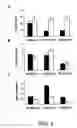 Fig. 05 - Methods for treating a neoplastic disease in a subject using inorganic selenium-containing compounds