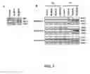 Fig. 08 - Methods for treating a neoplastic disease in a subject using inorganic selenium-containing compounds