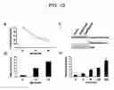 Fig. 11 - Methods for treating a neoplastic disease in a subject using inorganic selenium-containing compounds