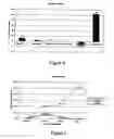 Fig. 04 - Composition and method to augment and sustain neurotransmitter production