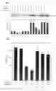 Fig. 02 - Cancer metastasis inhibitory composition