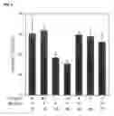 Fig. 03 - Cancer metastasis inhibitory composition