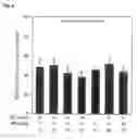 Fig. 04 - Cancer metastasis inhibitory composition