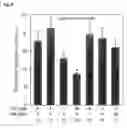 Fig. 05 - Cancer metastasis inhibitory composition