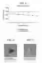 Fig. 02 - Aspartame stability in edible compositions