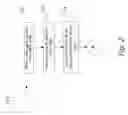 Fig. 03 - Method Of Processing Garlic