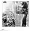 Fig. 05 - Method for fabricating an inorganic nanocomposite
