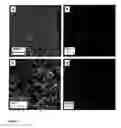 Fig. 06 - Method for fabricating an inorganic nanocomposite