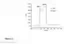 Fig. 11 - Method for fabricating an inorganic nanocomposite