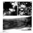 Fig. 13 - Method for fabricating an inorganic nanocomposite
