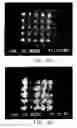 Fig. 15 - Process for improving the emissions of electron field emitters