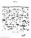 Fig. 06 - Matte film