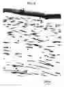 Fig. 07 - Matte film