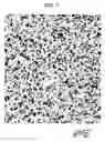 Fig. 08 - Matte film