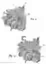 Fig. 08 - Filler for artificial turf system