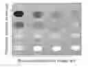 Fig. 01 - Methods for quality control