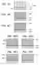 Fig. 04 - Structure and process for production thereof