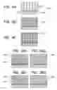 Fig. 06 - Structure and process for production thereof