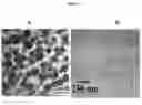 Fig. 03 - Polymer composite with silane coated nanoparticles