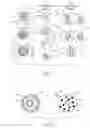 Fig. 02 - Multi-component fibers having enhanced reversible thermal properties