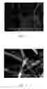 Fig. 04 - Carbon-containing metal matrix composite material having high thermal conductivity and method for producing the same
