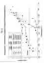 Fig. 05 - Films incorporating polymeric material combinations, articles made therefrom, and methods of making such films and articles