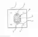 Fig. 01 - Structure of bipolar plate for direct methanol fuel cell and shape of flow path thereof and fuel cells including them