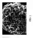 Fig. 02 - Alloy catalyst compositions and processes for making and using same