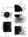 Fig. 03 - Alloy catalyst compositions and processes for making and using same