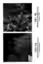 Fig. 05 - Alloy catalyst compositions and processes for making and using same